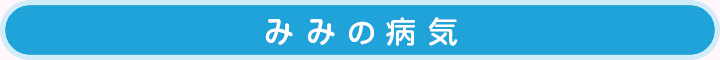 みみの病気