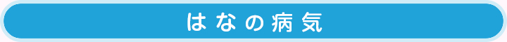 はなの病気